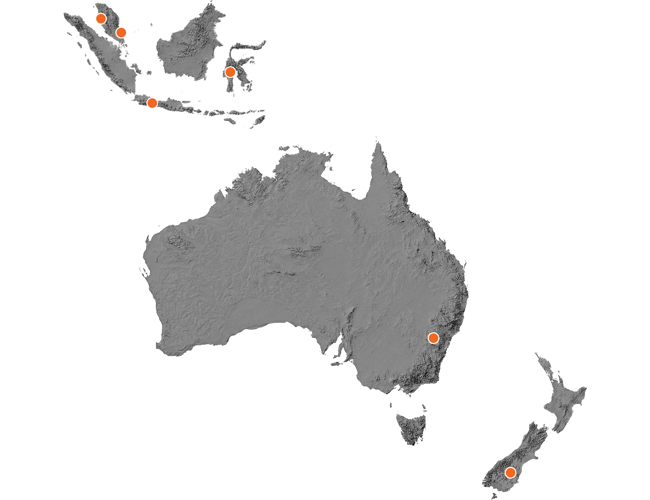 Mulford International image